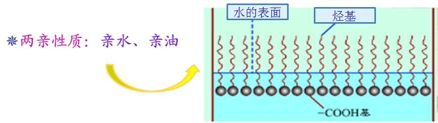 <a href='http://m.qhrzdb.com/product/product-0001,0011,0018.shtml' class='keys' title='點(diǎn)擊查看關(guān)于潤(rùn)濕劑的相關(guān)信息' target='_blank'>潤(rùn)濕劑</a>
